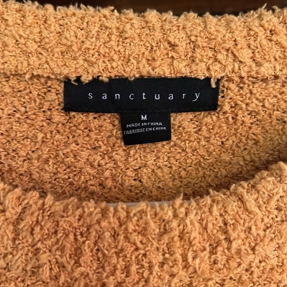 SANCTUARY Butterscotch Plush Bishop Sleeve Crew Neck Sweater, Size Medium, GUC. - Picture 3 of 10